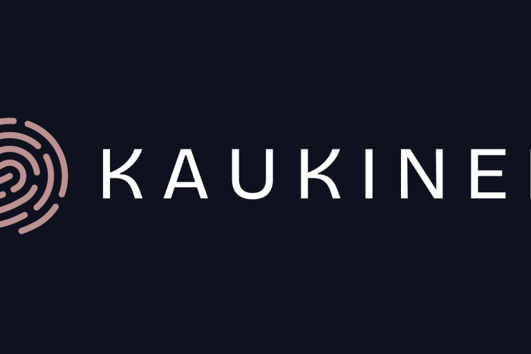 Kaukinen Consulting -logo